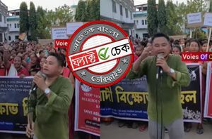 social Media users social Media users