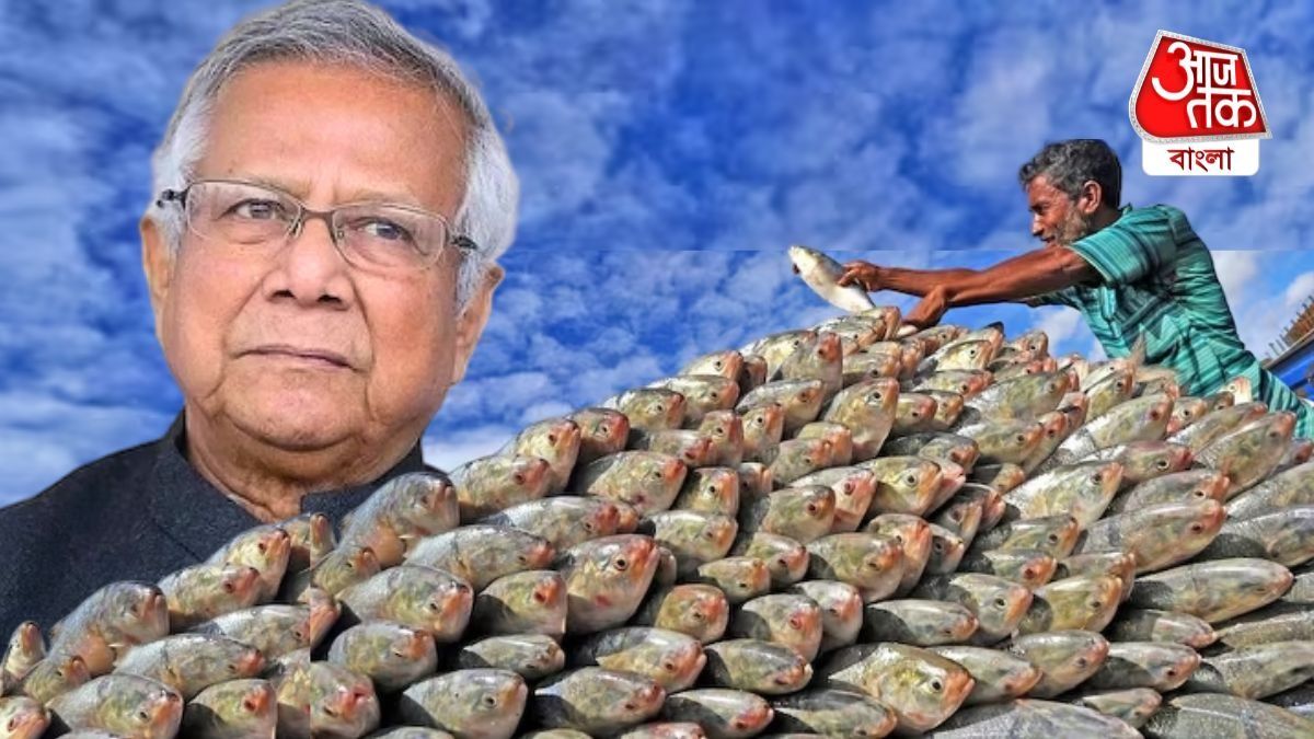 বাংলাদেশ থেকে নামমাত্র ইলিশ এসেছে ভারতে, মাছ নিয়েও শত্রুতা করছেন ইউনূস? 