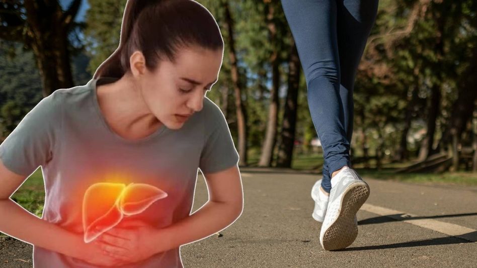 ফ্যাটি লিভার দ্রুত সারবে, দিনে ঠিক কত মিনিট হাঁটবেন? জানুন ফ্যাটি লিভার দ্রুত সারবে, দিনে ঠিক কত মিনিট হাঁটবেন? জানুন