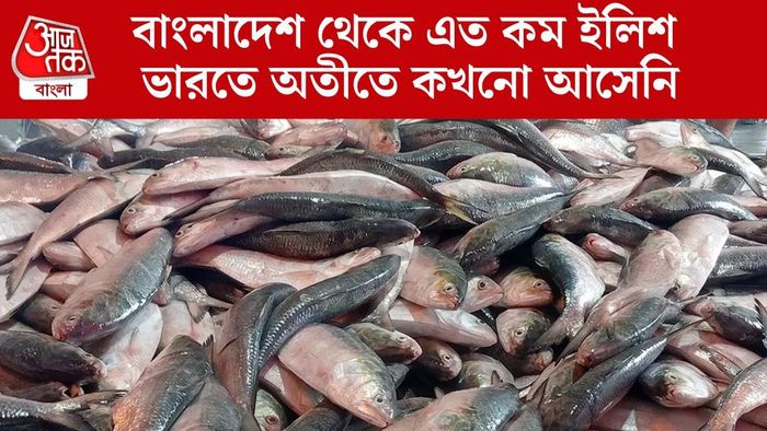বাংলাদেশ থেকে এত কম ইলিশ  ভারতে অতীতে কখনো আসেনি