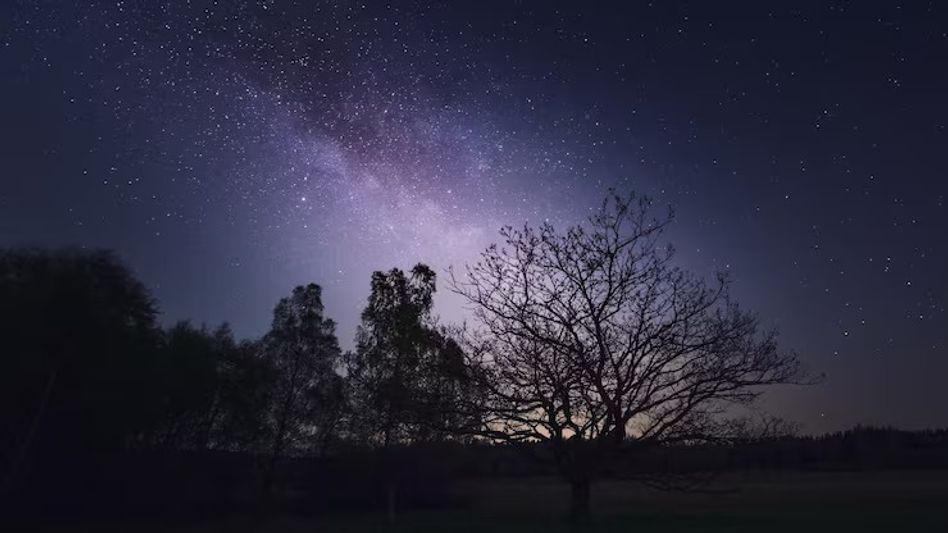 বাস্তুশাস্ত্র বলছে, সন্ধ্যার পর ভুলেও এই কাজ নয়, জলের মতো অর্থ অপচয় হয় বাস্তুশাস্ত্র বলছে, সন্ধ্যার পর ভুলেও এই কাজ নয়, জলের মতো অর্থ অপচয় হয়