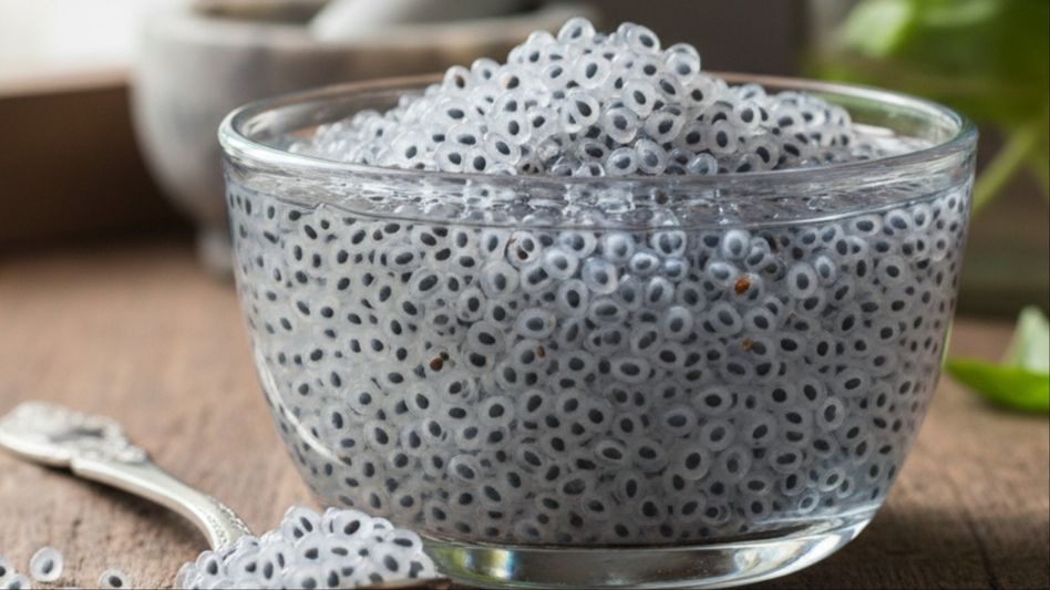 রয়েছে ৫ দুর্দান্ত উপকার, সুপারফুড এই বীজ কীভাবে খাবেন? রয়েছে ৫ দুর্দান্ত উপকার, সুপারফুড এই বীজ কীভাবে খাবেন?