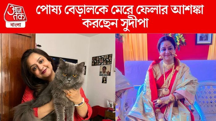 পোষ্য বেড়ালকে নিয়ে চিন্তায় সুদীপা