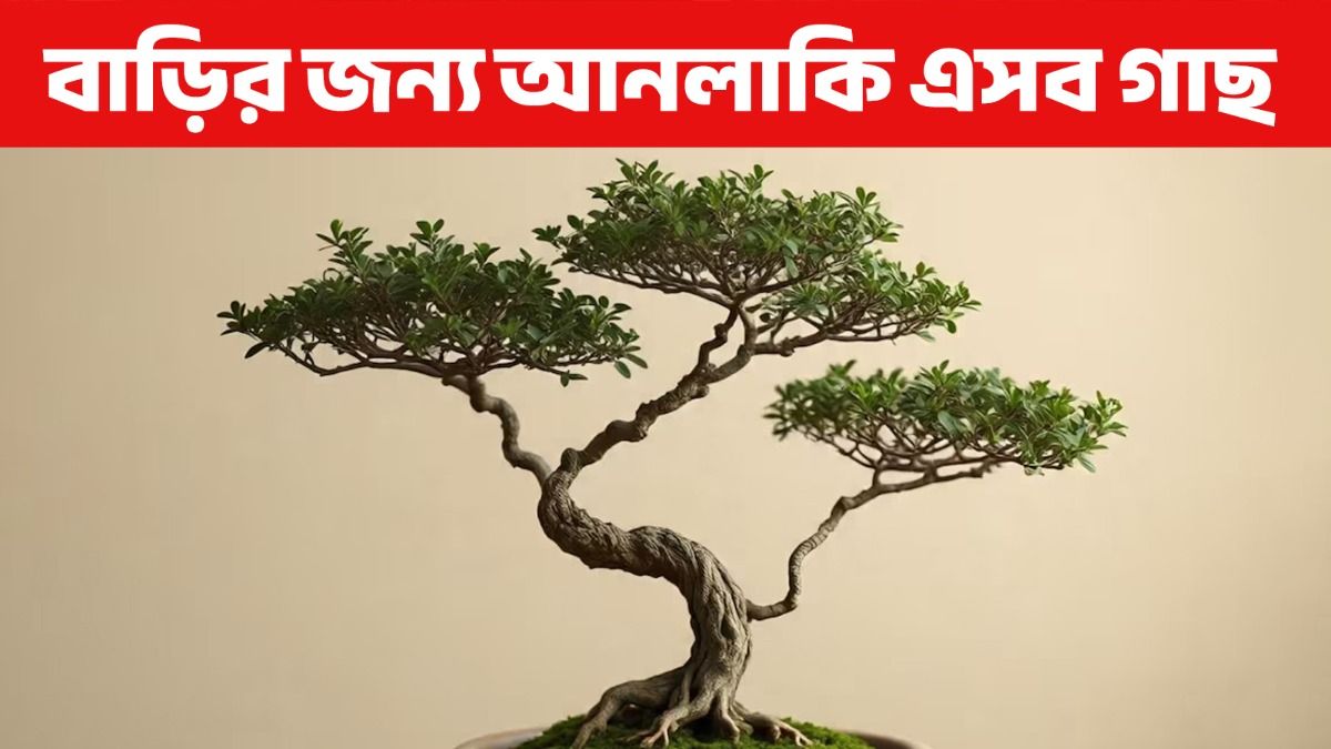 বাড়িতে এসব অশুভ গাছ লাগাবেন না, দুর্ভাগ্য জীবনে ঘিরে ধরবে