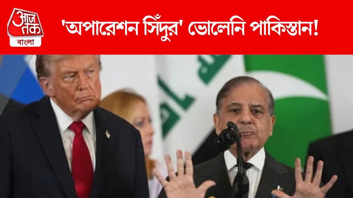 'জানি না কে বেঁচে থাকত...' অপরাশেন সিঁদুরের সেই রাত নিয়ে এখনও আতঙ্কে শেহবাজ
