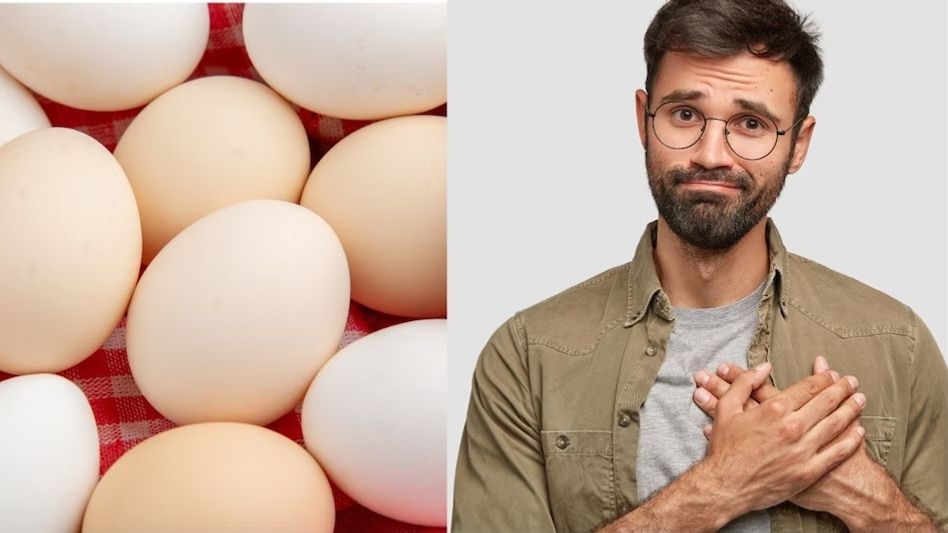 ডিম নিয়ে নতুন সতর্কতা, হার্ট দুর্বল হলে এই খবরটি অবশ্যই পড়ুন ডিম নিয়ে নতুন সতর্কতা, হার্ট দুর্বল হলে এই খবরটি অবশ্যই পড়ুন