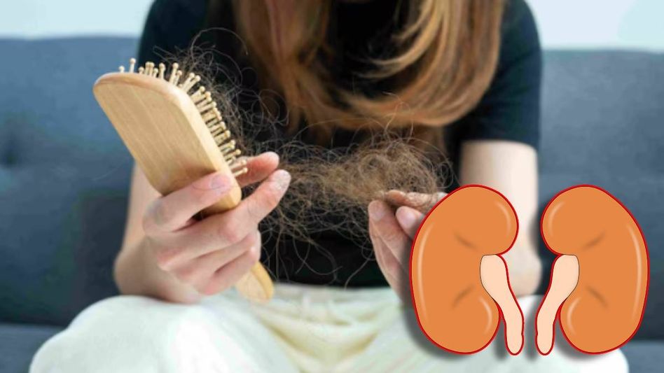 প্রতিদিন গোছা গোছা চুল পড়ছে? মারাত্মক রোগেরও লক্ষণ হতে পারে প্রতিদিন গোছা গোছা চুল পড়ছে? মারাত্মক রোগেরও লক্ষণ হতে পারে