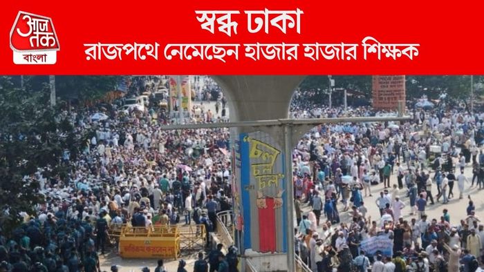 রাজপথে নেমেছেন হাজার হাজার শিক্ষক