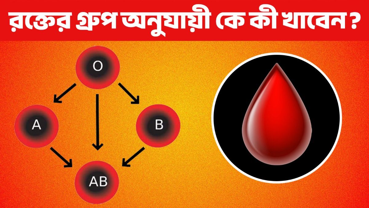 A, B, AB, O পজেটিভ ও নেগেটিভ রক্তের গ্রুপে কী খাওয়া স্বাস্থ্যকর? 