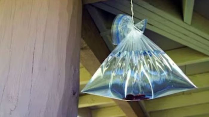 পলিথিনে জল ভরে বারান্দায় লোকজন ঝুলিয়ে রাখছে, কারণ জানলে মাথা ঘুরবে