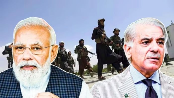 নিজস্ব চিত্র।