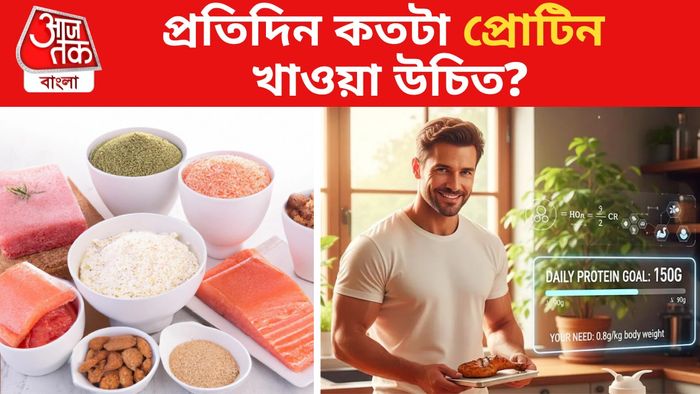 প্রোটিন