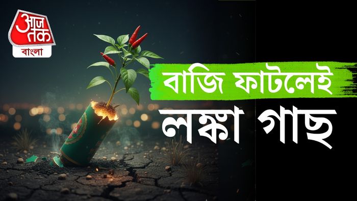 গ্রাফিক্স: শুভঙ্কর মিত্র