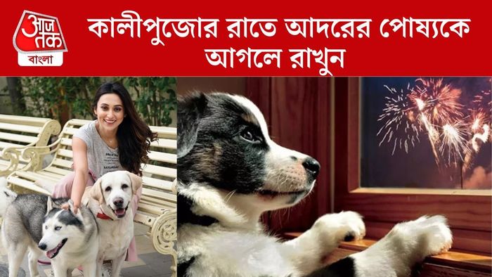 কালীপুজোর রাতে পোষ্যকে আগলে রাখুন