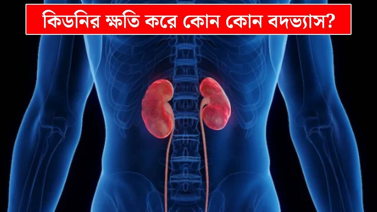 কিডনি বিগড়ে যায় এই ৫ ভুলে, কীভাবে বোঝা যায় জানুন? সাবধানের মার নেই