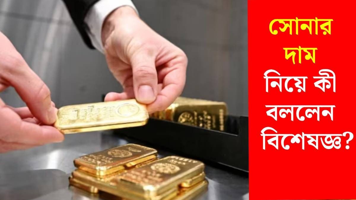 লাভের আশায় সোনা, রুপোয় ইনভেস্ট করছেন? দাম নিয়ে সতর্ক করলেন বিশেষজ্ঞ