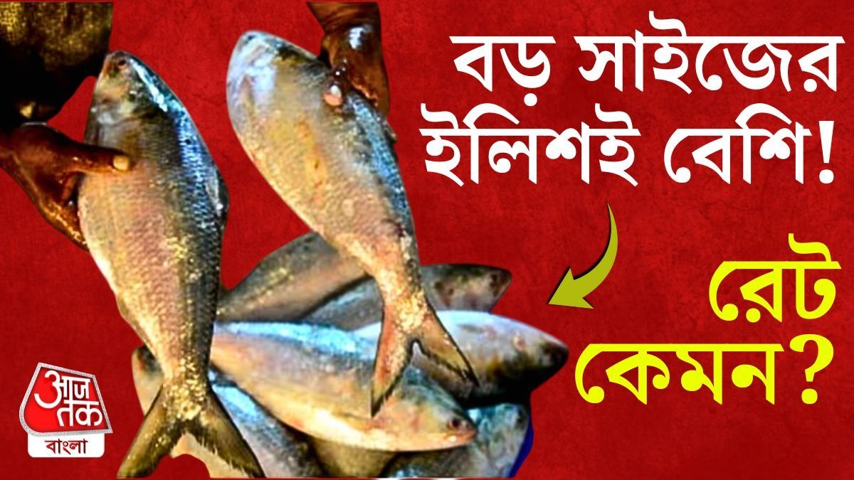 ভাঁইফোটার বাজারে মিলছে পেল্লাই সাইজের মায়ানমারের ইলিশ, কত টাকা কেজি?