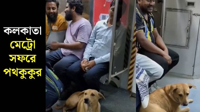 পথকুকুর উঠল মেট্রোয়