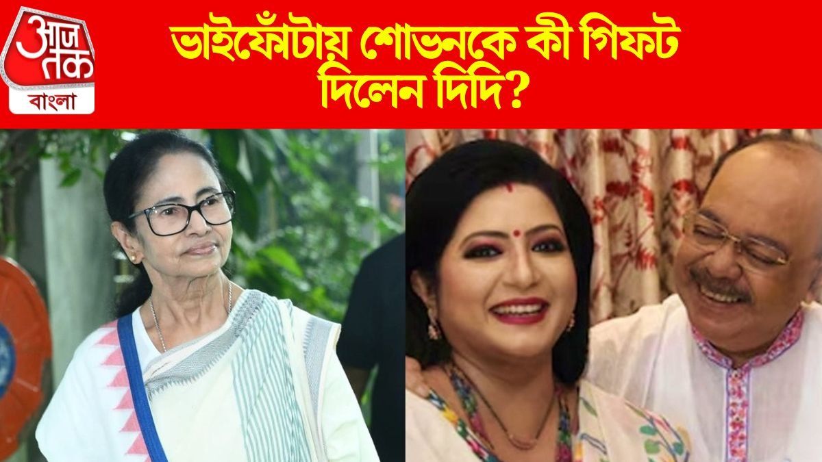  'কামব্যাকের' পর প্রথম ভাইফোঁটা, শোভনকে কী গিফট করলেন মমতা? বৈশাখী জানালেন