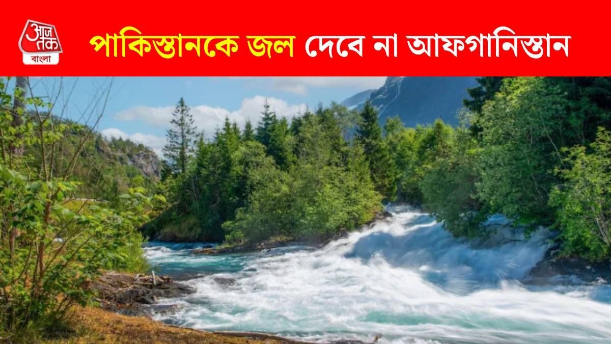 পাকিস্তানকে জলে মারবে আফগানিস্তান