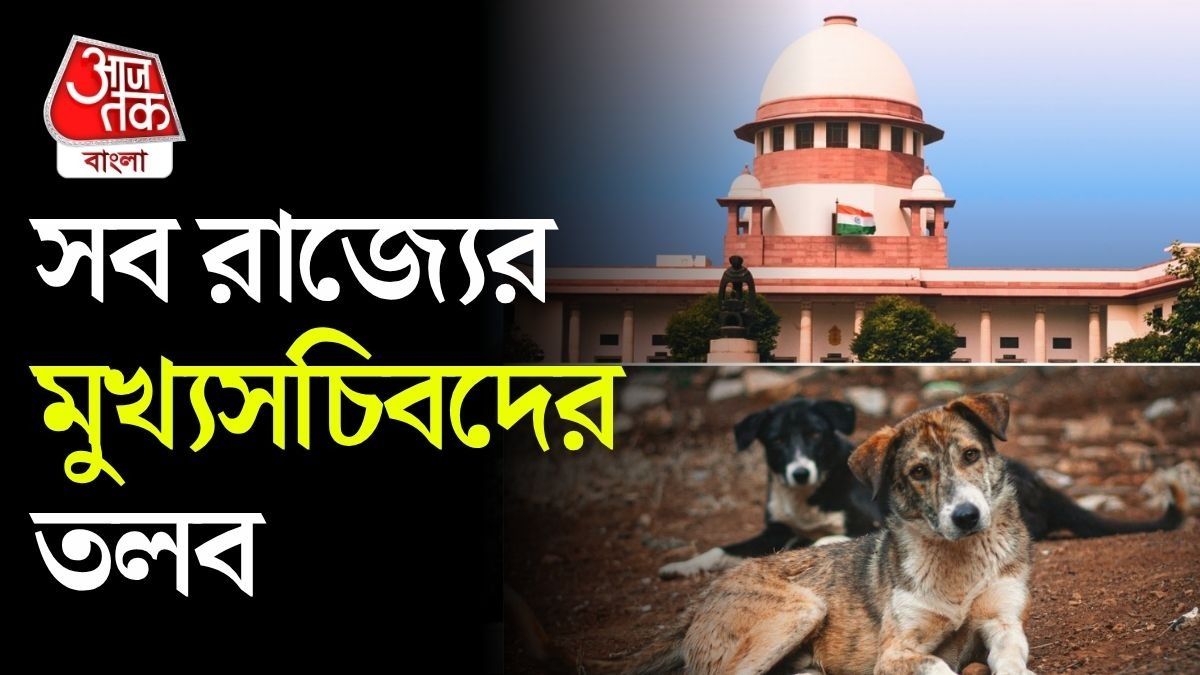 পরপর দেশের বিভিন্ন স্থানে পথকুকুরের কামড়ের খবর দেখেই আদালত স্বতঃপ্রণোদিত মামলা গ্রহণ করে।