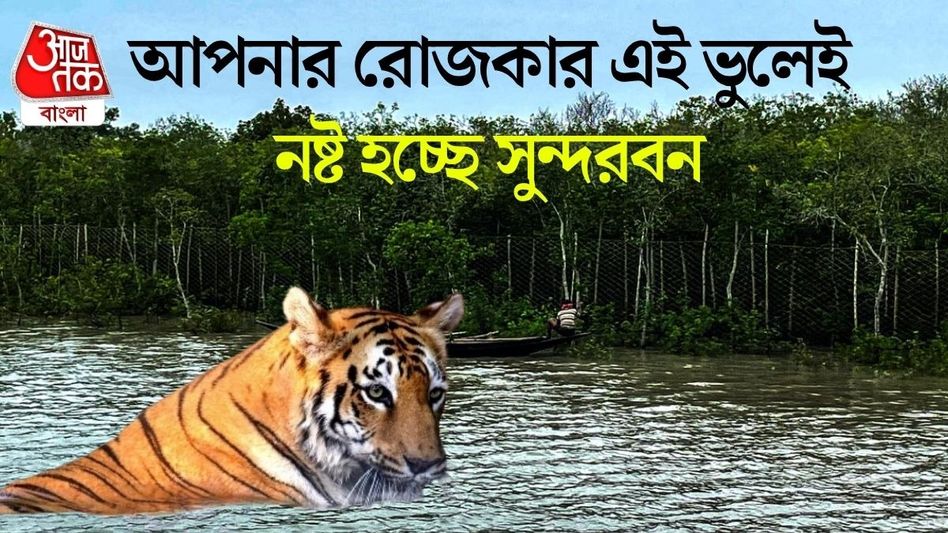 সুন্দরবনও ধ্বংসের পথে? গবেষণায় চাঞ্চল্যকর রিপোর্ট সুন্দরবনও ধ্বংসের পথে? গবেষণায় চাঞ্চল্যকর রিপোর্ট