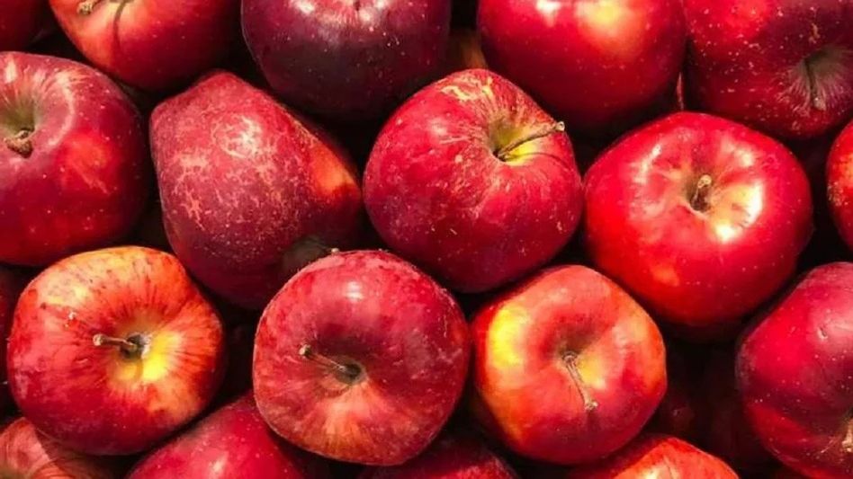 চকচকে আপেলের আড়ালে লুকিয়ে রাসায়নিক ফাঁদ! ক্ষতি এড়াতে কী করবেন?  চকচকে আপেলের আড়ালে লুকিয়ে রাসায়নিক ফাঁদ! ক্ষতি এড়াতে কী করবেন?