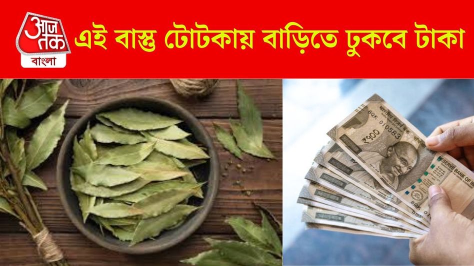 সৌভাগ্য ফেরাবে তেজপাতা, এই টোটকাতেই পাবেন মা লক্ষ্মীর কৃপা সৌভাগ্য ফেরাবে তেজপাতা, এই টোটকাতেই পাবেন মা লক্ষ্মীর কৃপা