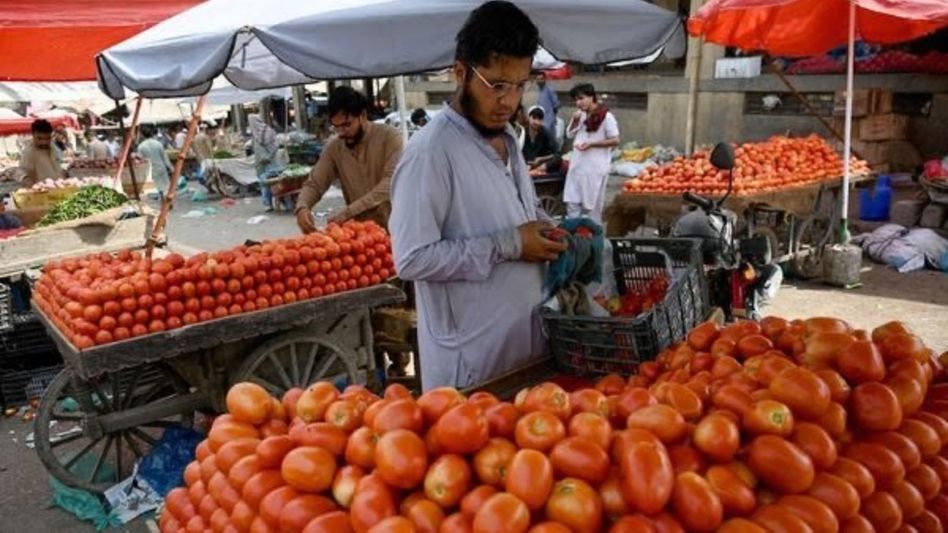 একটা টমেটো ৭৫ টাকা, জঙ্গি পুষতে ব্যস্ত পাকিস্তানের 'ভিখিরি' দশা একটা টমেটো ৭৫ টাকা, জঙ্গি পুষতে ব্যস্ত পাকিস্তানের 'ভিখিরি' দশা