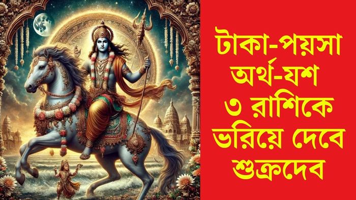 শুক্রের গোচরে সৌভাগ্যবান কারা?