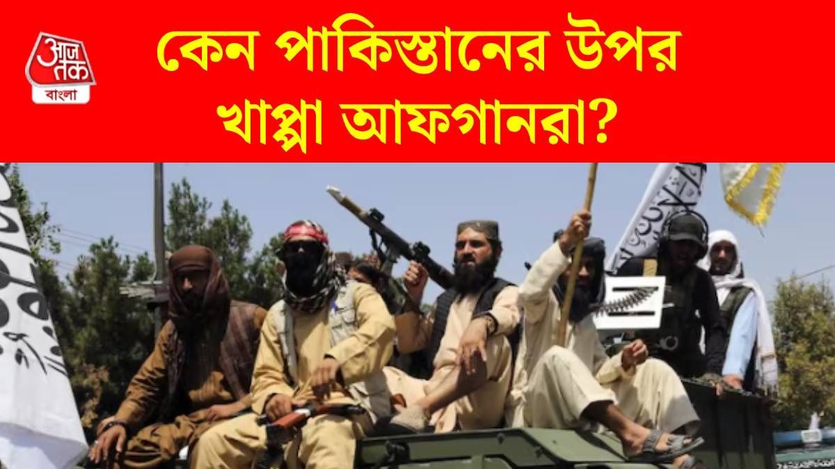 পাকিস্তানকে এত মারছে কেন আফগানিস্তান? রাগের আসল কারণগুলি রইল