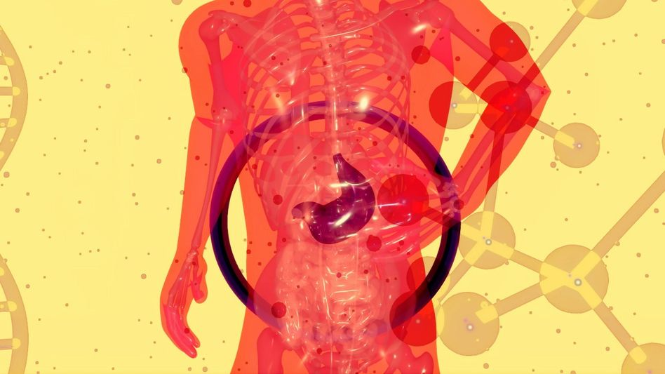 ফ্যাটি লিভারের রোগীদের কি ঘি খাওয়া উচিত? জবাব স্পেশালিস্ট ডাক্তারের  ফ্যাটি লিভারের রোগীদের কি ঘি খাওয়া উচিত? জবাব স্পেশালিস্ট ডাক্তারের