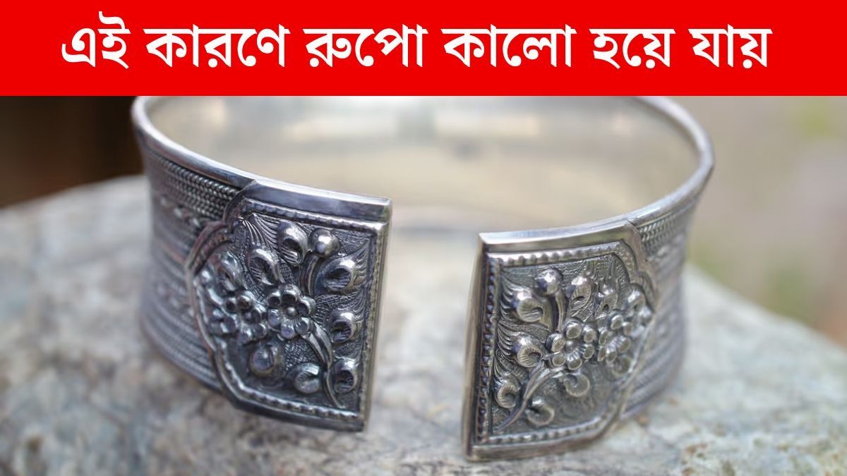 কেন রুপো কালো হয়ে যায়? আসল কারণ জেনে নিন 