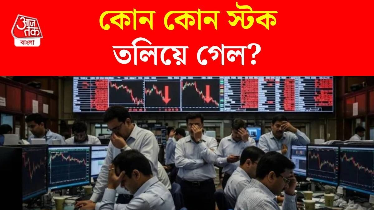 কোন কোন স্টকের হাল খারাপ?