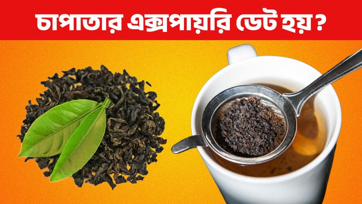 মেয়াদোত্তীর্ণ চাপাতা খেলে কী হয়? জেনে নিন কতদিন ভাল থাকে 