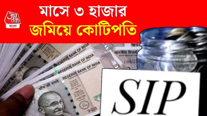 ৩ হাজার টাকা SIP এ কোটিপতি হতে পারেন