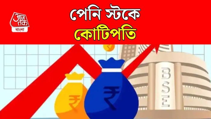 পেনি স্টকে কোটিপতি