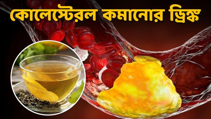 কোলেস্টেরল