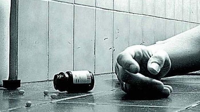 এবার SIR 'আতঙ্ক' ধনেখালিতে, মেয়েকে বিষ খাইয়ে আত্মহত্যার চেষ্টা ধনেখালির গৃহবধূর