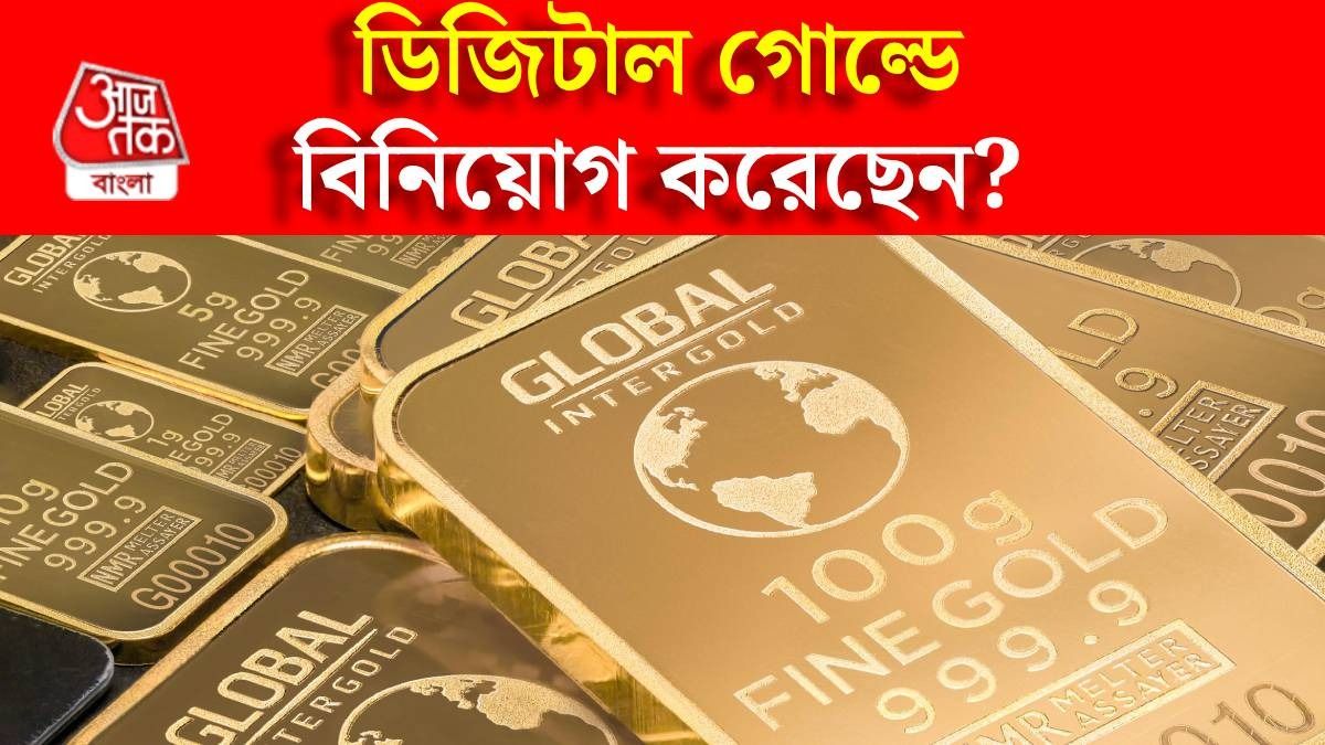 ডিজিটাল গোল্ডে বিনিয়োগ সুরক্ষিত তো? SEBI ঠিক কী 'ওয়ার্নিং' দিল?