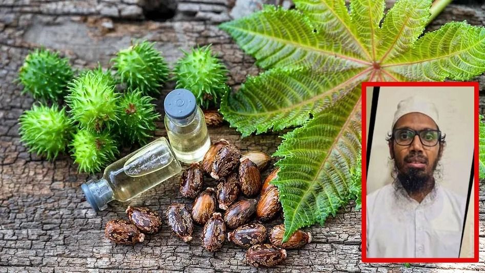 'বিরল' মারণ বিষ বানাচ্ছিল ISIS-এর ডাক্তার, টার্গেট ছিল ভারতে ফলের মার্কেটে ছড়িয়ে দেওয়া