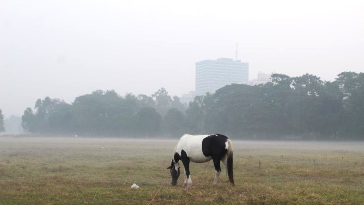 কালিম্পংয়ের চেয়েও বেশি ঠান্ডা বাঁকুড়ায়, বাকি জেলাগুলির কী খবর? আপডেট