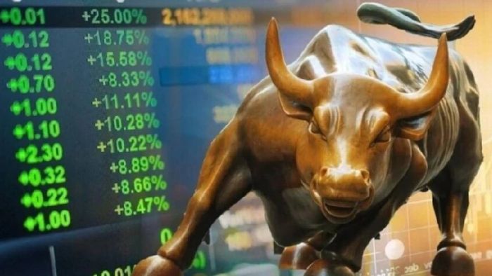 স্টক মার্কেটের ব়্যালি