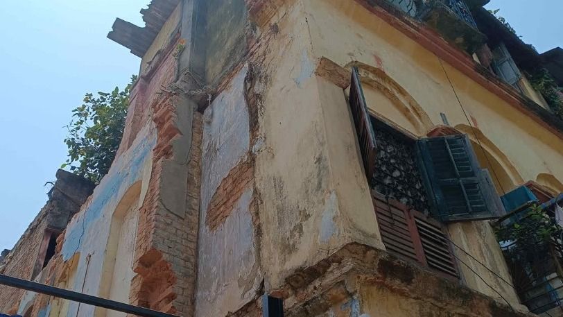 বট, অশ্বত্থ বাড়ির দেওয়াল ফাটিয়ে দিচ্ছে বারবার? হিং ব্যবহারে স্থায়ী সমাধান, পরামর্শ রাজমিস্ত্রির