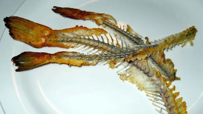 মাছের কাঁটা