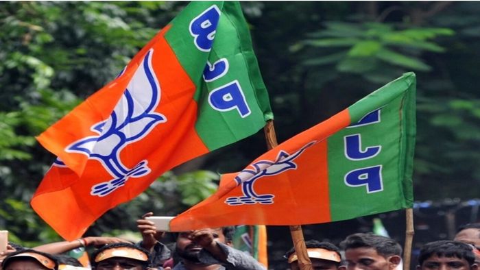 বিজেপির উল্লাস।-প্রতীকী ছবি