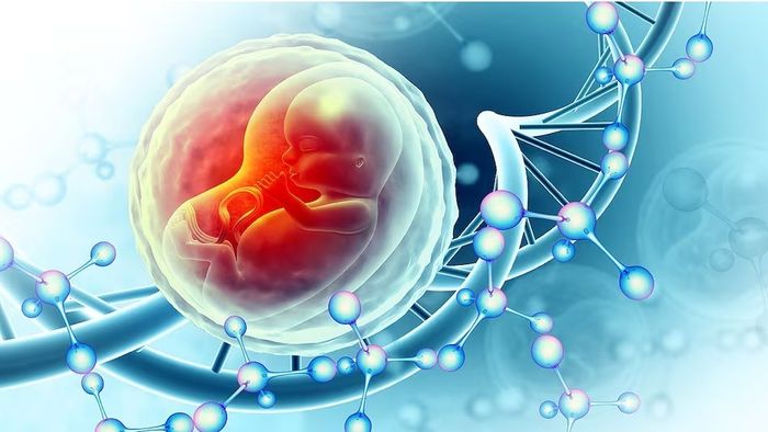 প্রতীকী ছবি