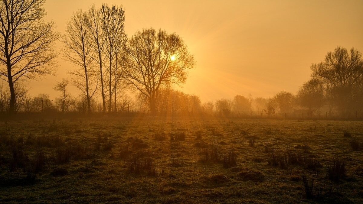 শীতে কাঁপছে দার্জিলিং থেকে পুরুলিয়া, সকালে বাড়বে কুয়াশার দাপট