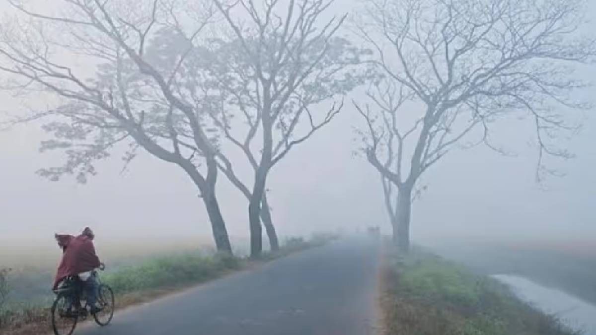 নিম্নচাপের জেরে বাড়ছে তাপমাত্রা, রাজ্যে জাঁকিয়ে ঠান্ডা পড়বে কবে? 