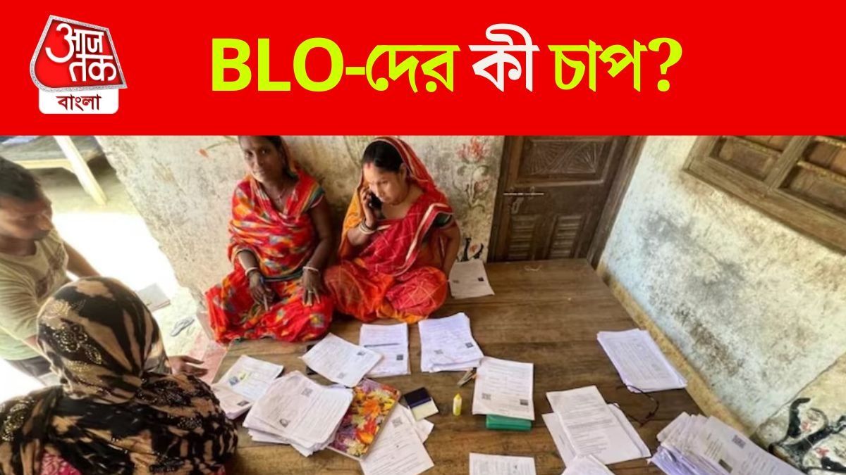 BLO-দের কী কাজ করতে হয়, কতটা কাজের চাপ? কত পারিশ্রমিক? বিস্তারিত